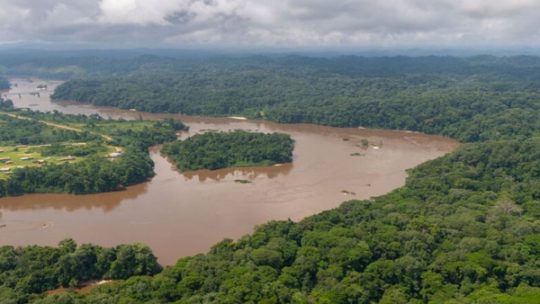 Gipfel zum Schutz der tropischen Regenwälder