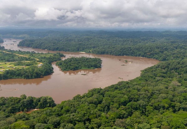 Gipfel zum Schutz der tropischen Regenwälder