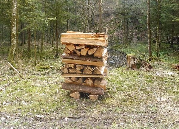 Ohne heimisches Holz keine Wärmewende