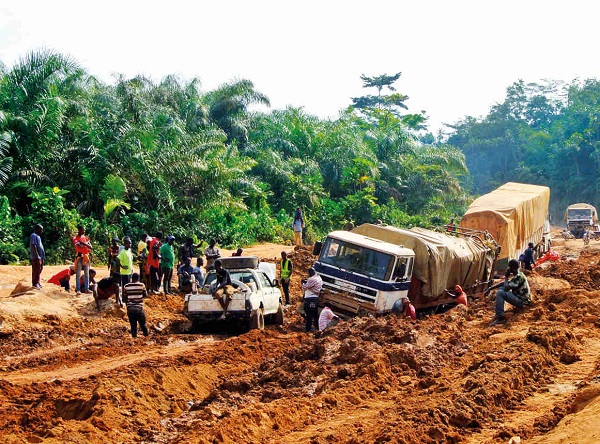 Petition: Wälder in Liberia schützen