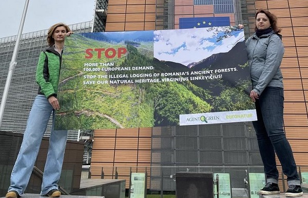 „Abholzung stoppen“ – Schutz für Rumäniens Wälder