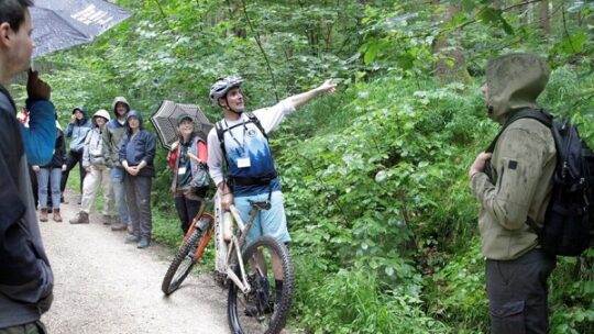 Naturverträglich Mountainbiken im Wald