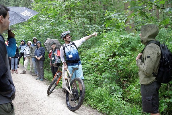 Naturverträglich Mountainbiken im Wald