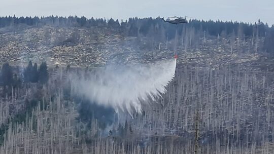 Waldbrand am Brocken fast gelöscht