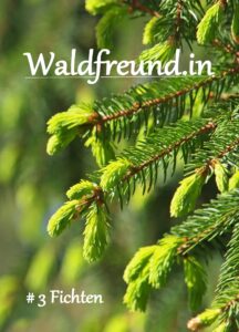 Waldfreund.in #3 Fichten