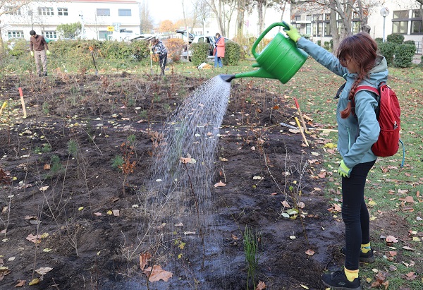 Schulwäldchen: Wie Kinder Natur erleben