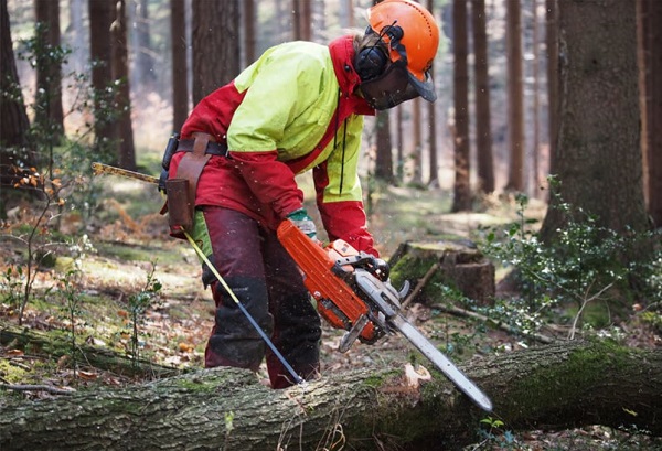 Girls entdecken den Wald