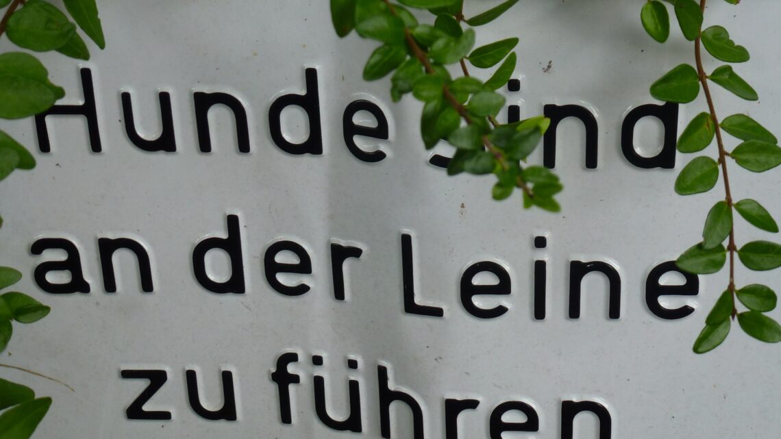 Hunde an die Leine