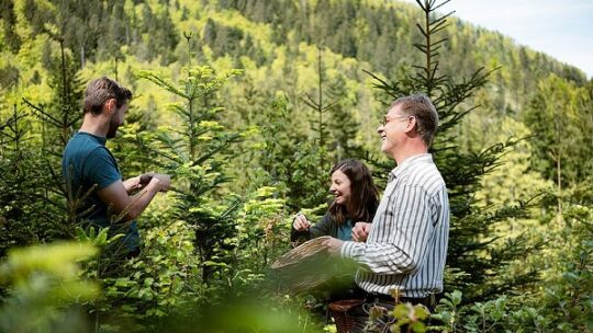 „Hommage an die Vielfalt der Wälder“