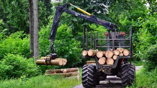 „Verzicht gefährdet Klimaschutz“