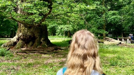 „Gemeinsam! Für den Wald.“