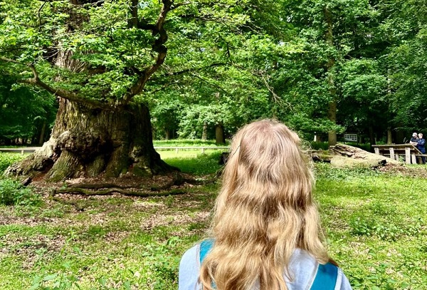„Gemeinsam! Für den Wald.“