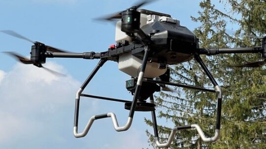 Neuer Wald aus der Luft