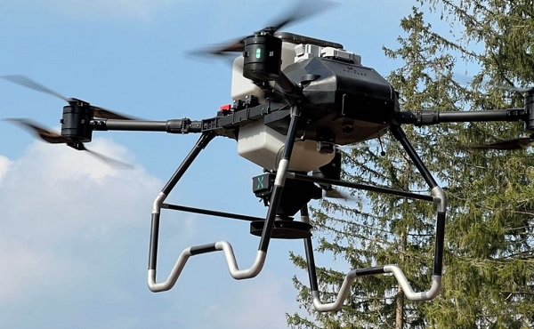 Neuer Wald aus der Luft