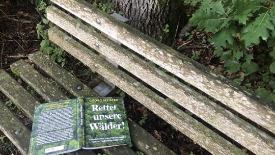 Die Natur machen lassen