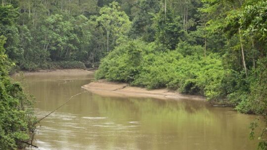 Alles im Fluss: von ITT zu TFFF