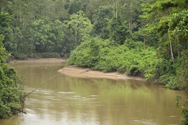 Alles im Fluss: von ITT zu TFFF