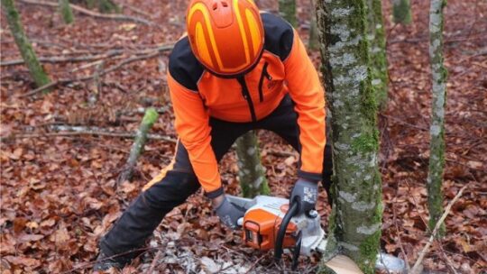 ForstBW elektrisiert den Wald