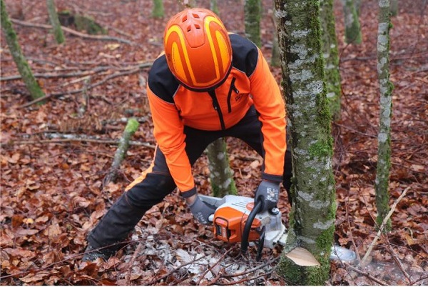 ForstBW elektrisiert den Wald