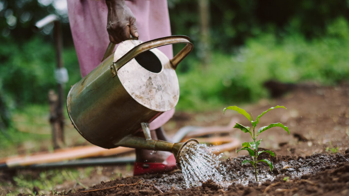Ecosia ruft „Klima-Nobelpreis“ aus