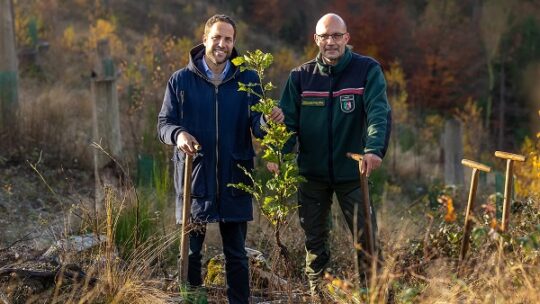 Krombacher: über eine Million Bäume