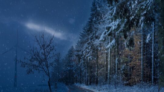 Spenden statt schießen