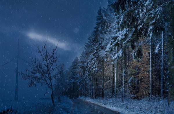 Spenden statt schießen