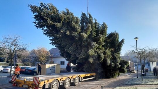 Fichte reist von Thüringen nach Berlin