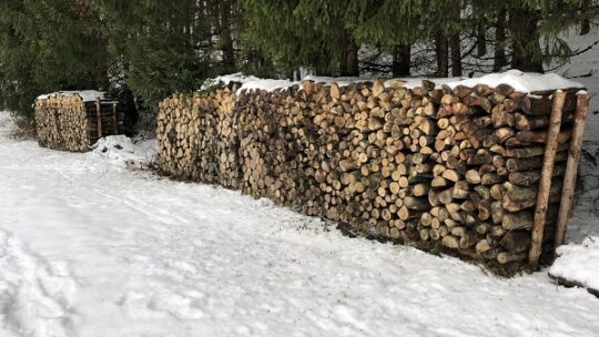 „Brennholz keine Konkurrenz zum Bauholz“