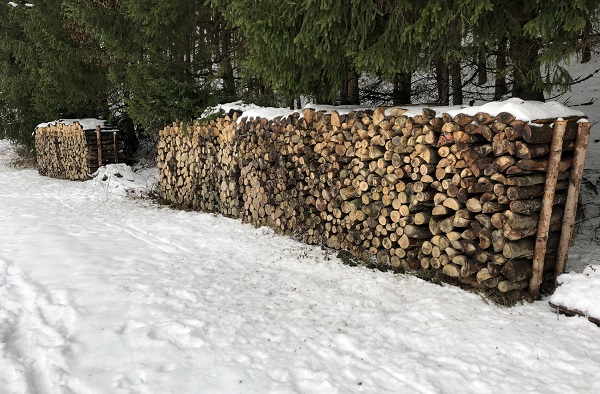 „Brennholz keine Konkurrenz zum Bauholz“