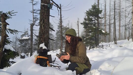 KI im Nationalpark: Der Artenvielfalt auf der Spur