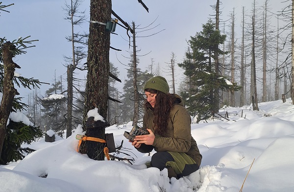 KI im Nationalpark: Der Artenvielfalt auf der Spur