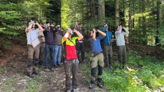 Waldzustand, Wahlempfehlung und Wachstum