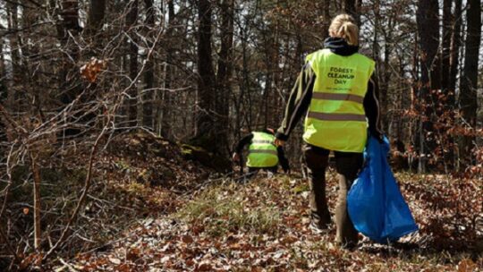 Anmelden und Wald putzen