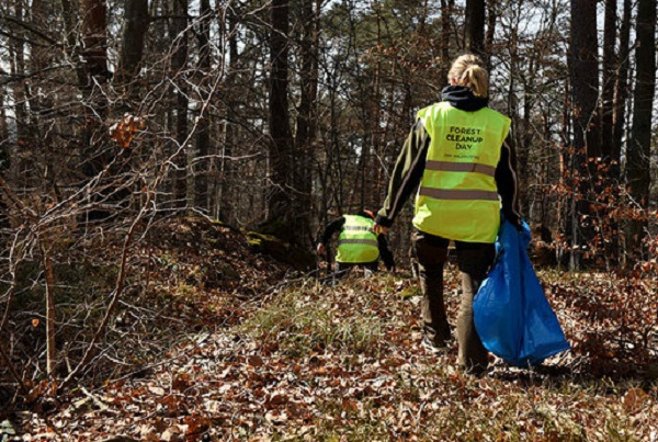Anmelden und Wald putzen