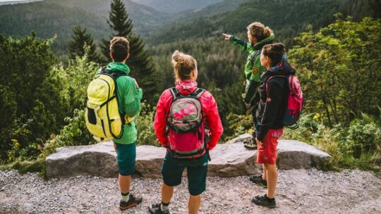 Die Highlights im Schwarzwald 2026