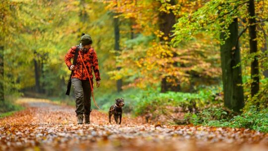 Jäger: Bestand auf Rekordhöhe