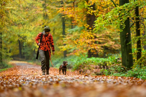 Jäger: Bestand auf Rekordhöhe