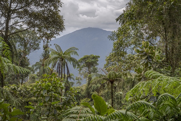 Zoobesuch rettet Regenwald