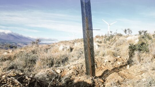 Zalando trennt sich vom Forstgiganten SCA