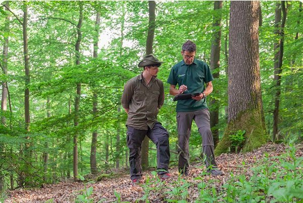 FSC: Waldschutz Verbrauchern wichtig