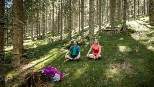 Hochsteiermark – wo der Wald erdet