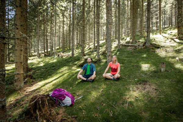 Hochsteiermark – wo der Wald erdet