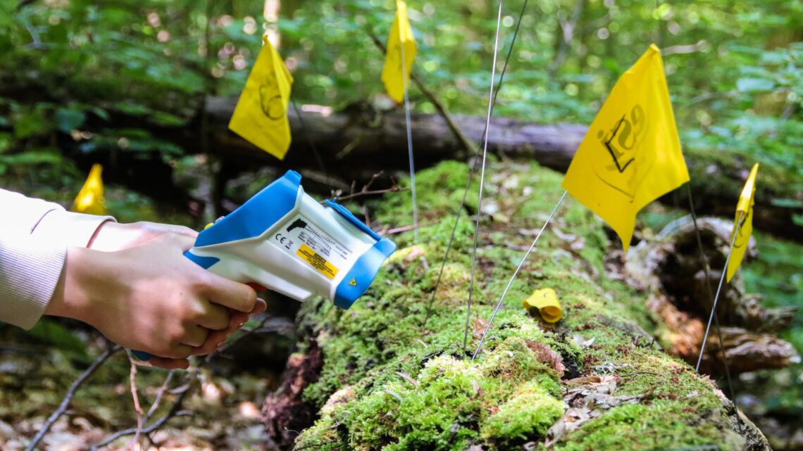 Forschung für die Natur der Wälder