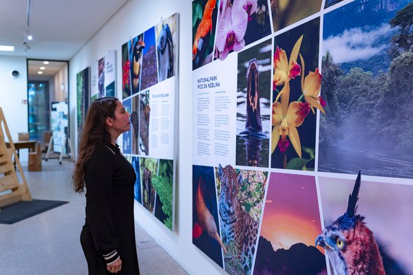 Brücke vom Schwarzwald zu den Regenwäldern Brasiliens
