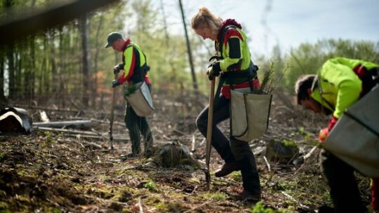 Spannende Berufe für coole Girls