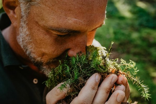 Ostbayern: Gesundheit wächst im Wald