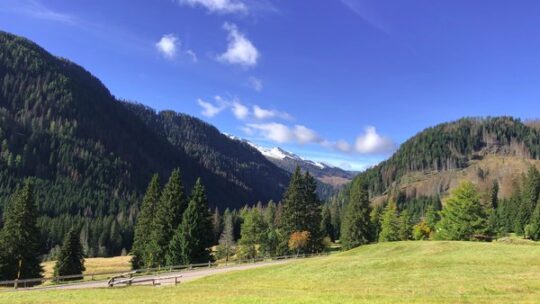 Wo Stradivari sein Holz holte