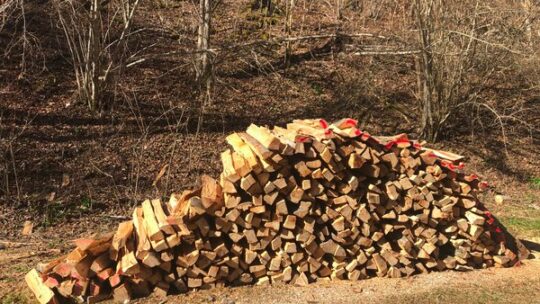 Brennholz: Vorräte schon im Frühjahr auffüllen