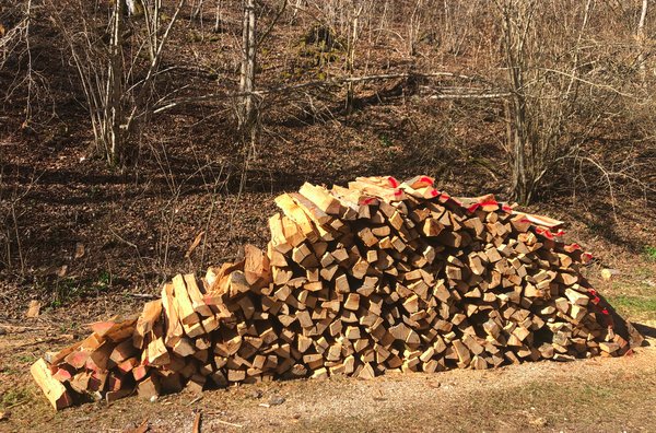 Brennholz: Vorräte schon im Frühjahr auffüllen